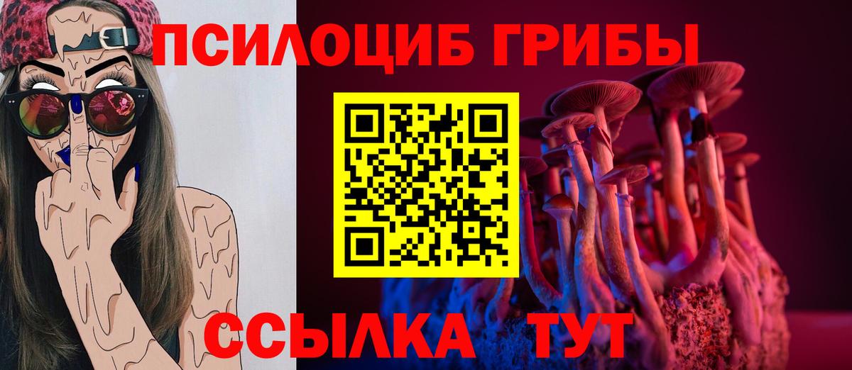 Псилоцибиновые грибы ЛСД  Псилоцибиновые грибы Cubensis  Калининград  Вход с VPN 